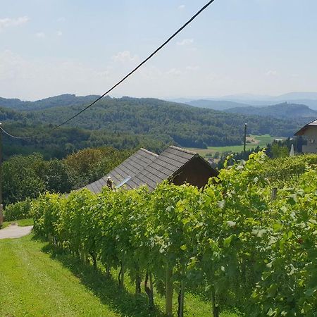 Zidanica Meglic - Vineyard Cottage Meglic Trebnje Dış mekan fotoğraf