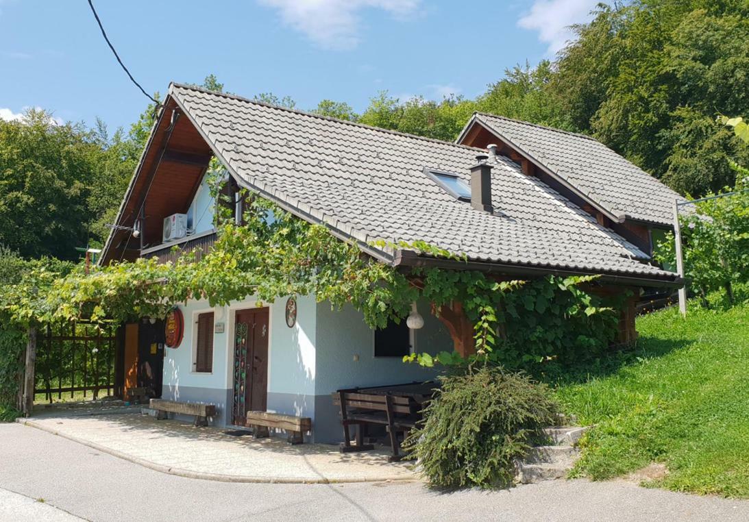 Zidanica Meglic - Vineyard Cottage Meglic Trebnje Dış mekan fotoğraf