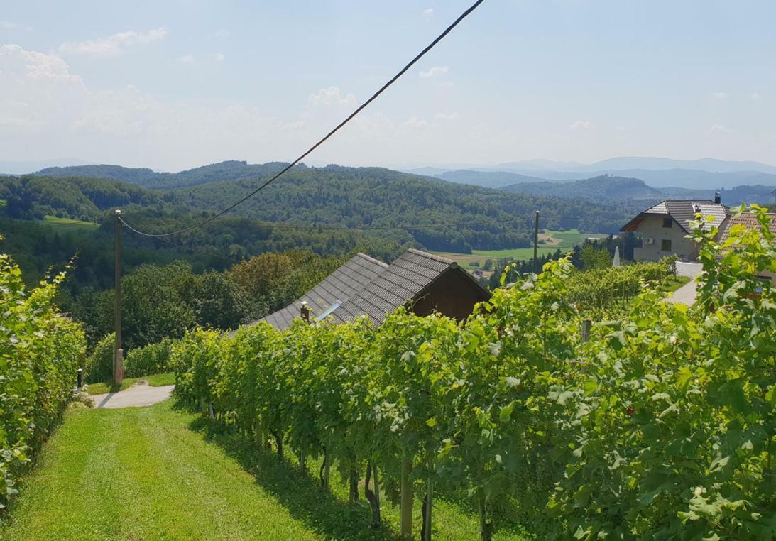 Zidanica Meglic - Vineyard Cottage Meglic Trebnje Dış mekan fotoğraf