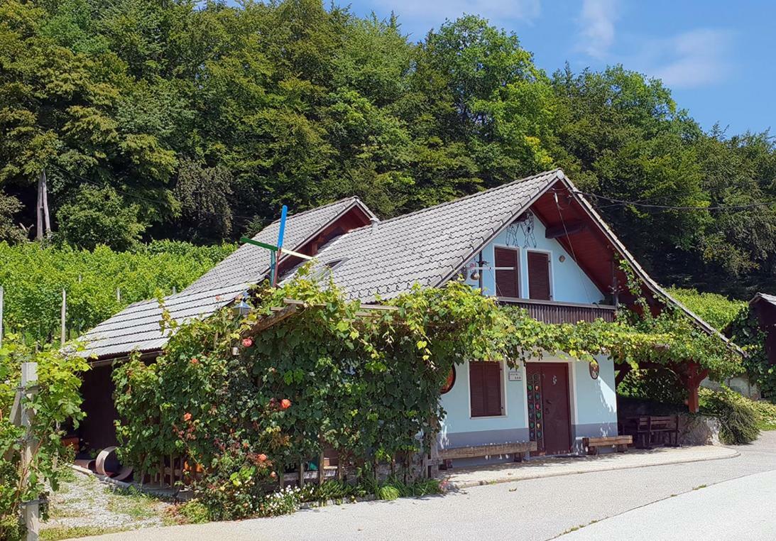 Zidanica Meglic - Vineyard Cottage Meglic Trebnje Dış mekan fotoğraf