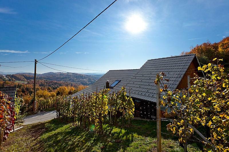Zidanica Meglic - Vineyard Cottage Meglic Trebnje Dış mekan fotoğraf